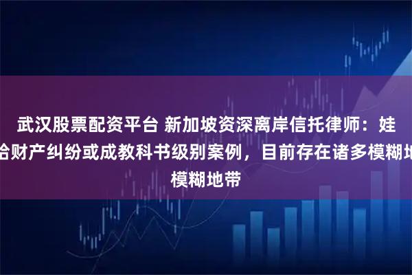 武汉股票配资平台 新加坡资深离岸信托律师：娃哈哈财产纠纷或成教科书级别案例，目前存在诸多模糊地带